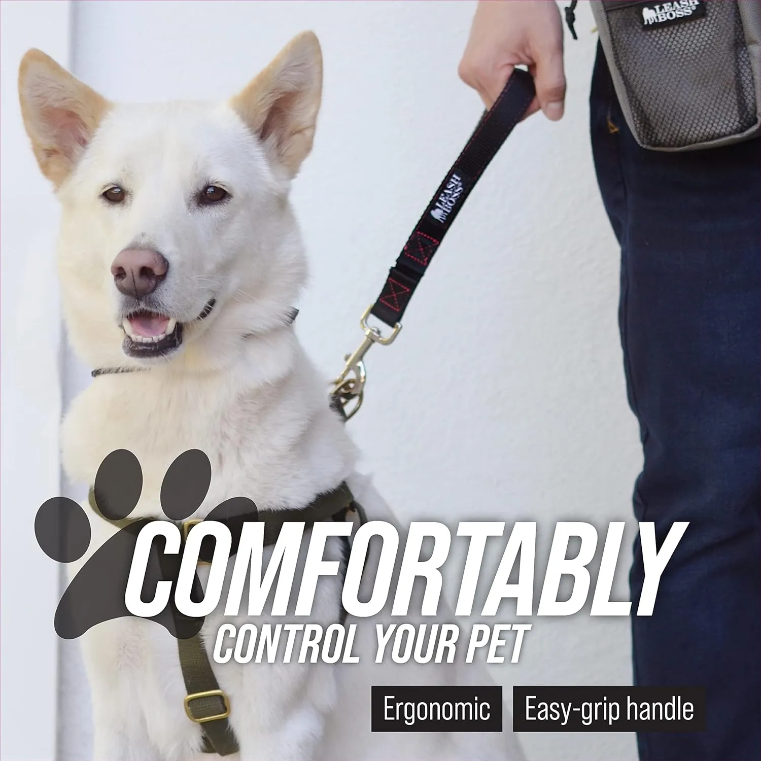 24 Inch Dog Leash with Padded Handle