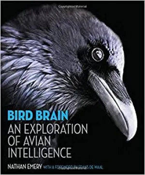 Bird Brain: An Exploration of Avian Intelligence