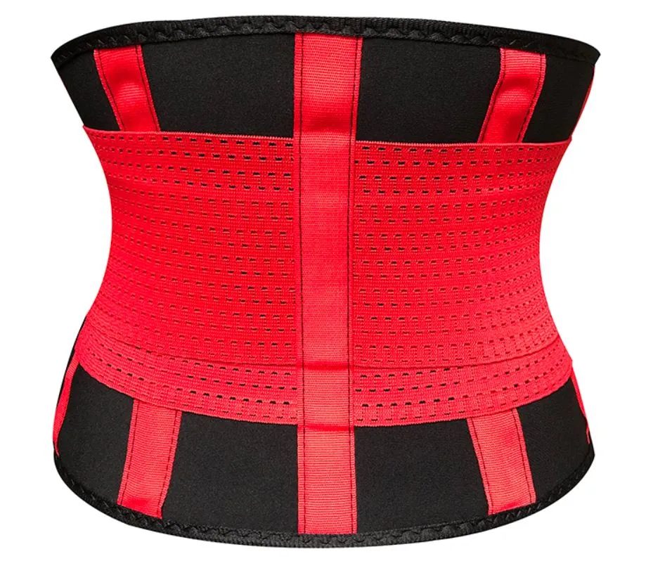 Brace & Support Neoprene Sweat Belt Waist Trainer