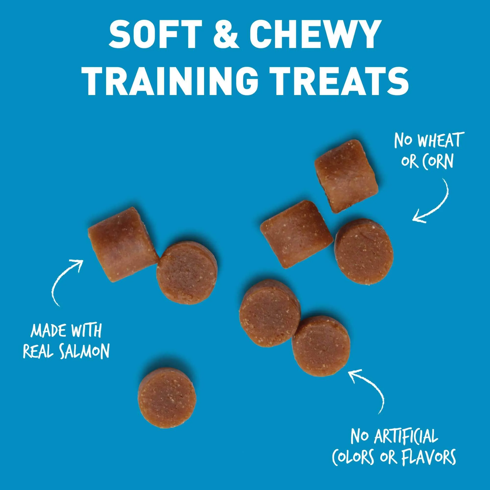 Cloud Star Tricky Trainers Soft & Chewy Salmon Dog Treats