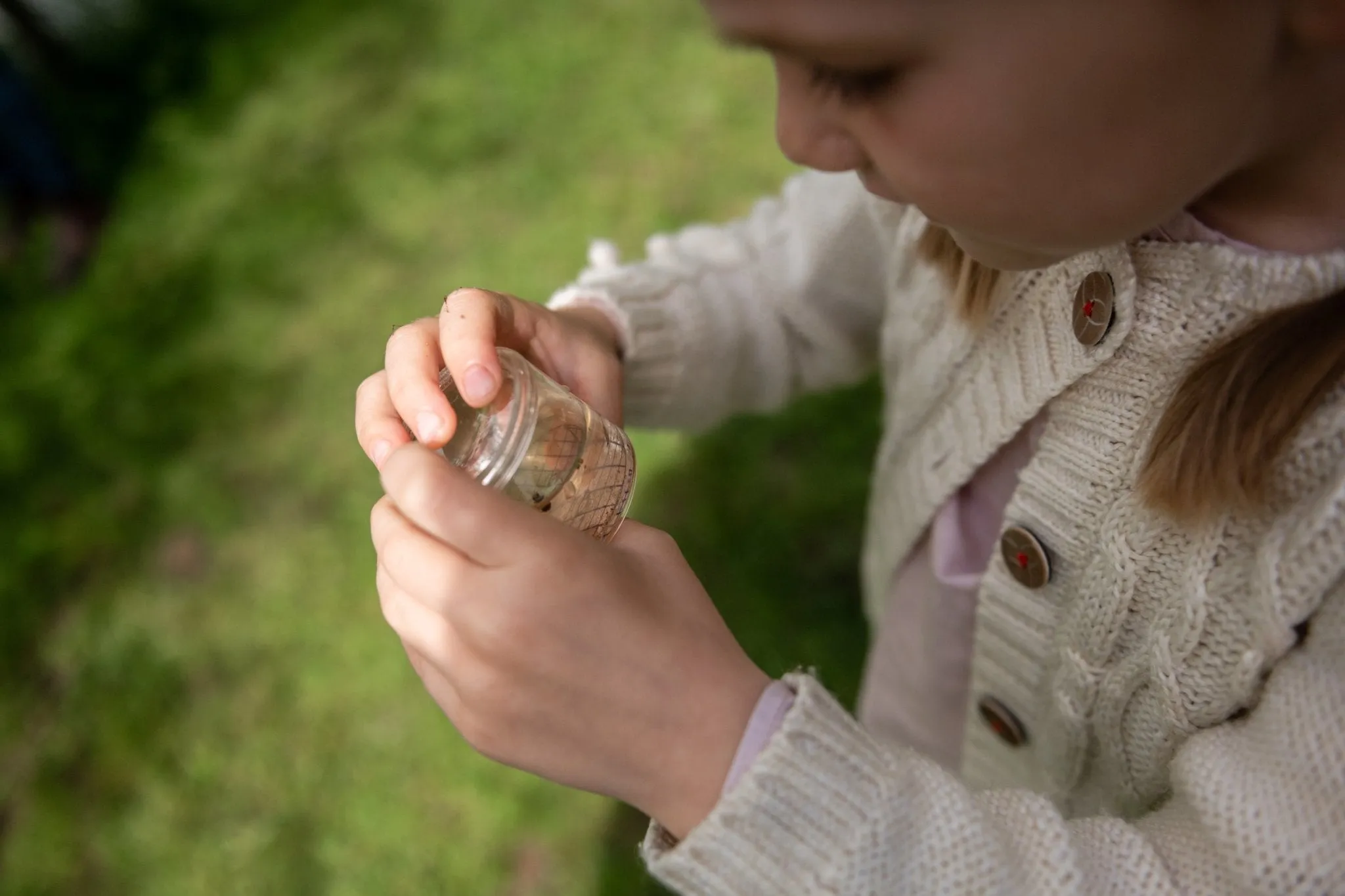 Den Kit Entomology Kit