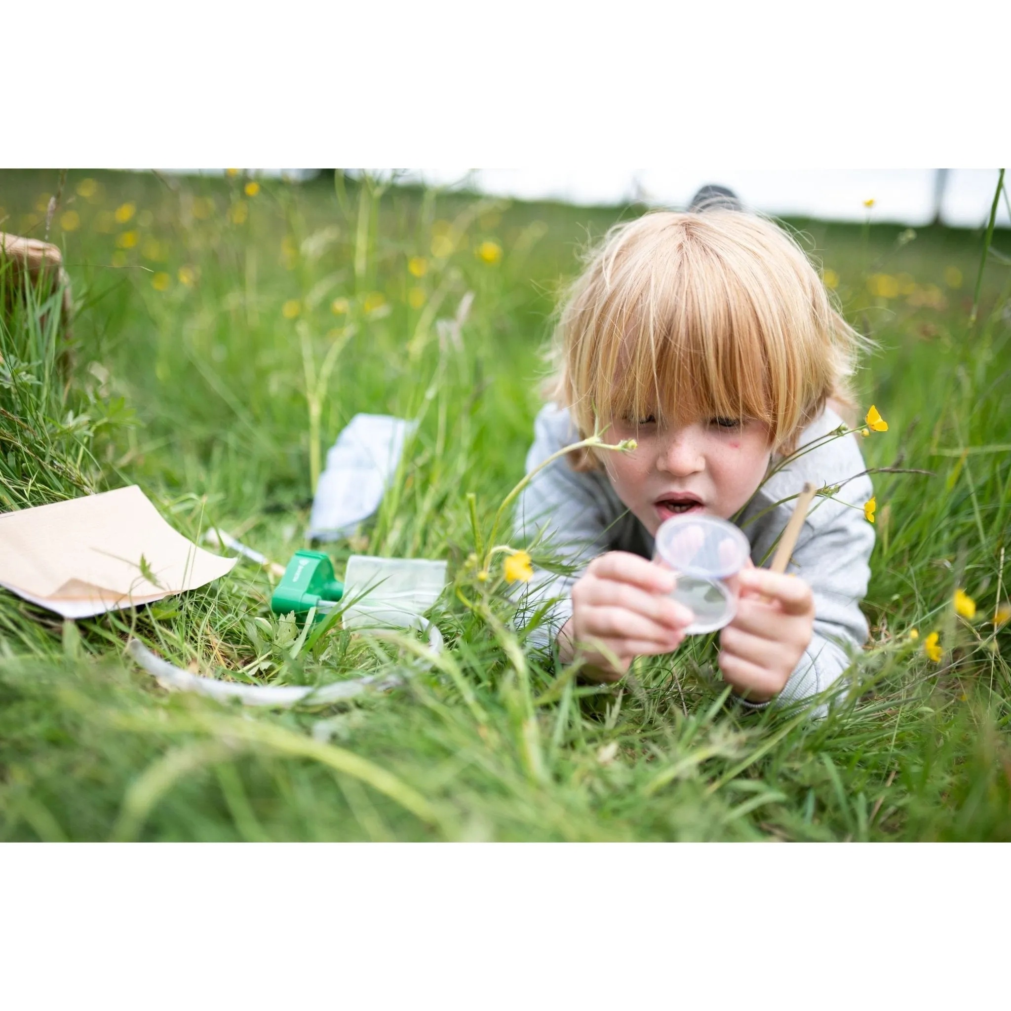 Den Kit Entomology Kit