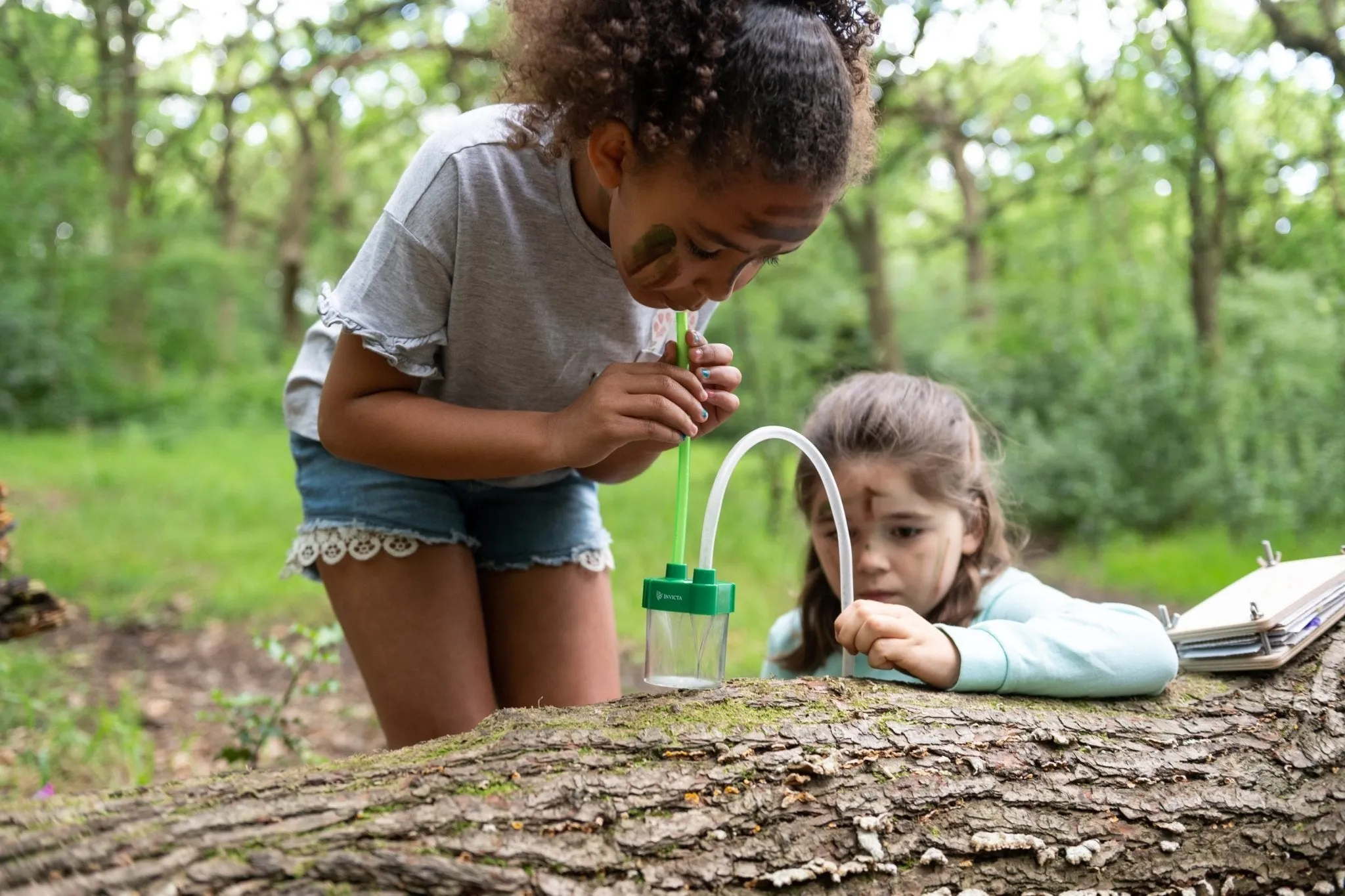 Den Kit Entomology Kit