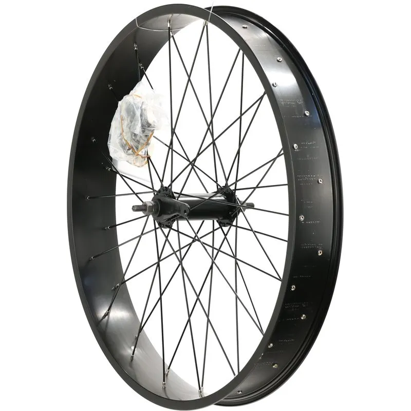 Electra Lux Fat 26" Rear Wheel, Circlip, Coaster Brake, Bolt-On, Schrader