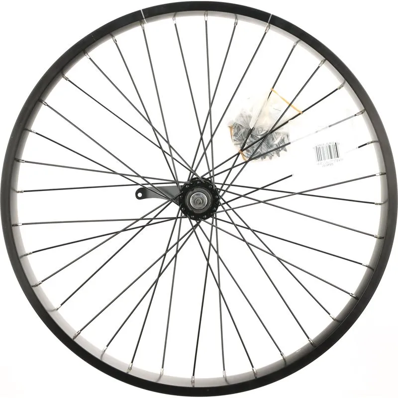 Electra Lux Fat 26" Rear Wheel, Circlip, Coaster Brake, Bolt-On, Schrader