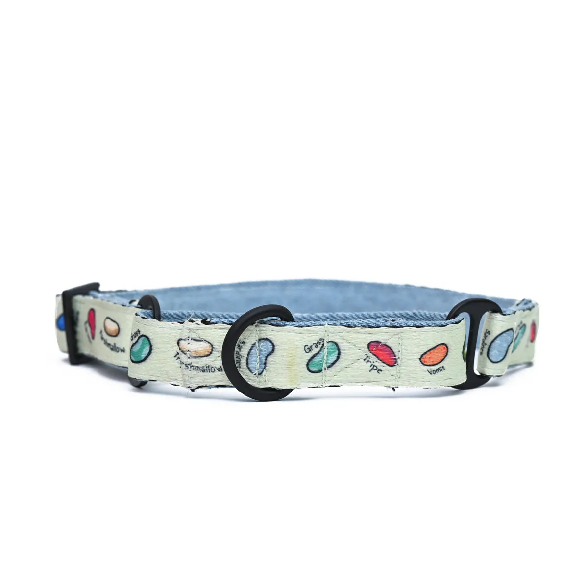 Every Flavour Beans Dog Martingale Collar