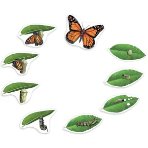 Giant Magnetic Butterfly Life Cycle