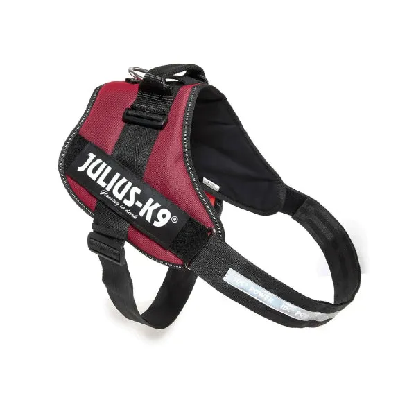 Julius-K9 IDC® Powerharness