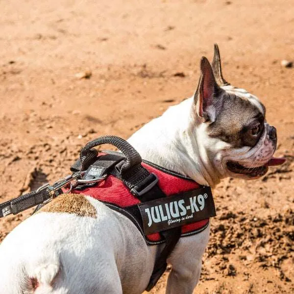 Julius-K9 IDC® Powerharness